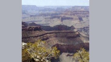 Wielki Kanion Kolorado ciekawostki Arizona USA