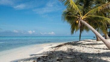 Belize ciekawostki atrakcje wyjazdy podróże