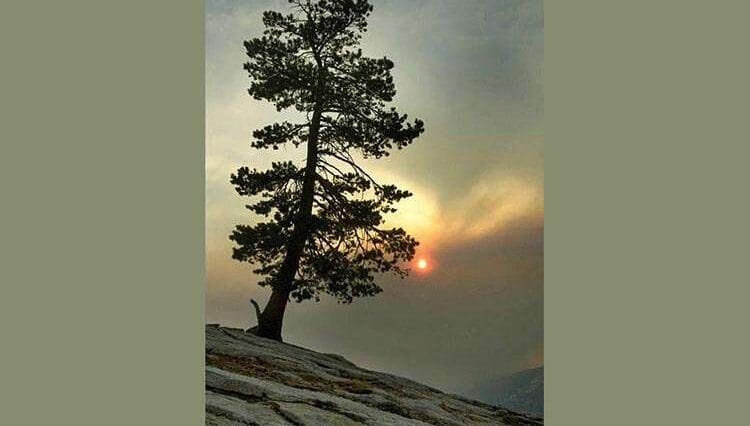 Park Yosemite Kalifornia