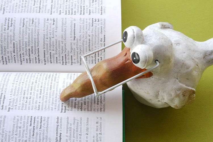 imigranci język obcy motywacja