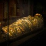 mumie egipskie starożytny Egipt munia egipska