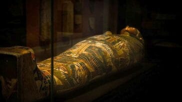 mumie egipskie starożytny Egipt munia egipska