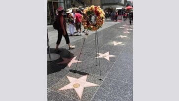 Hollywood Walk of Fame Los Angeles