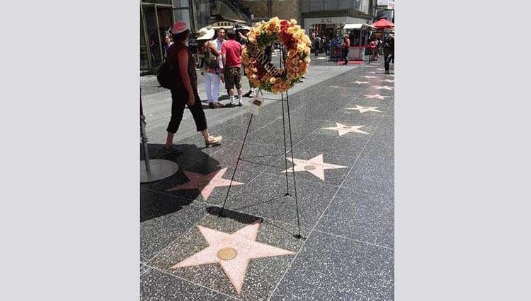Hollywood Walk of Fame Los Angeles
