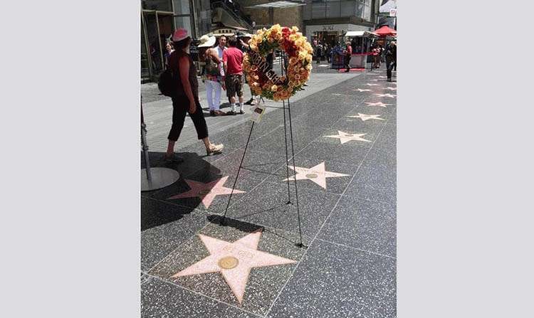 Hollywood Walk of Fame Los Angeles