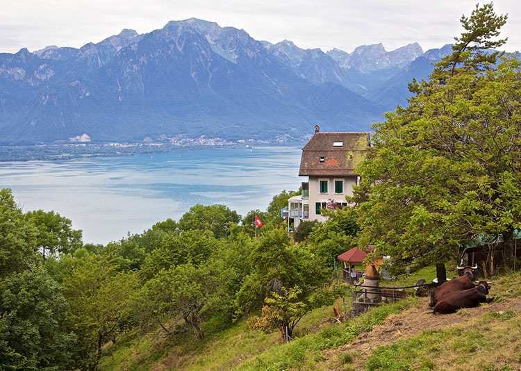 Montreux ciekawostki atrakcje Szwajcaria Jezioro Genewskie