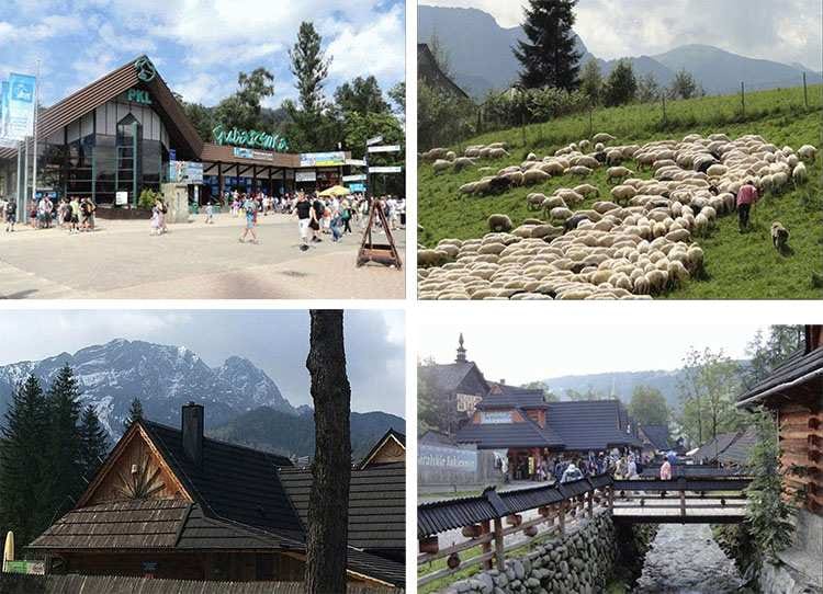 miasto Zakopane ciekawostki atrakcje