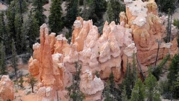 Bryce Canyon National Park USA ciekawostki wycieczka zdjęcia Wyżyna Kolorado USA