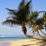 Dominikana ciekawostki o Dominikanie Punta Cana