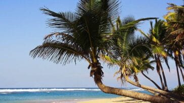 Dominikana ciekawostki o Dominikanie Punta Cana