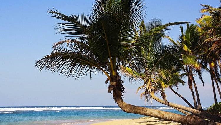 Dominikana ciekawostki o Dominikanie Punta Cana