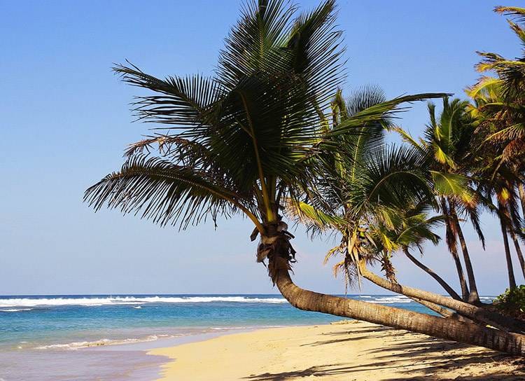 Dominikana ciekawostki o Dominikanie Punta Cana