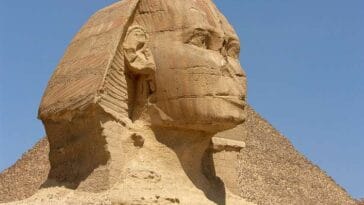 nos sfinksa Wielki Sfinks Egipski Giza Egipt