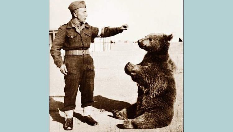 Monte Cassino pomnik niedźwiedź Wojtek ciekawostki