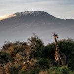 państwo Kenia ciekawostki atrakcje turystyczne Kenii Afryka safari