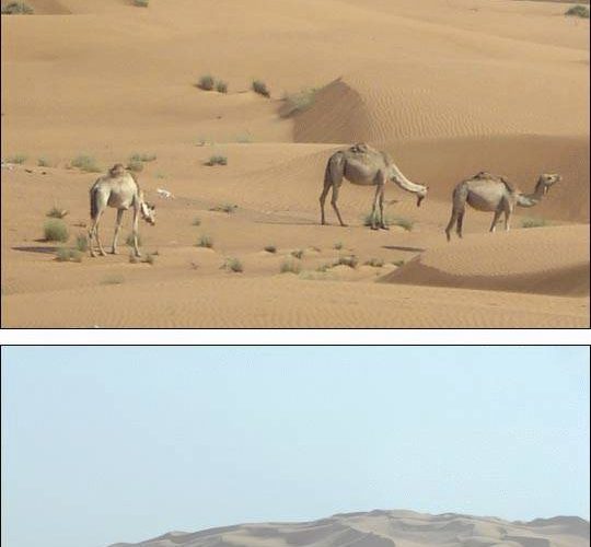 Ar-Rab al-Chali – największa pustynia na świecie