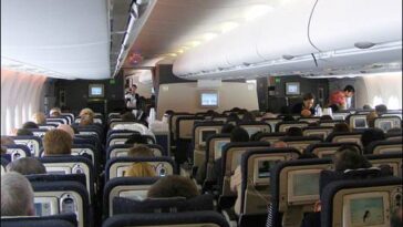 stewardessy ciekawostki stewardesa podróże samolot