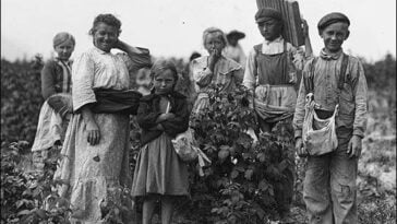 Historia emigracji polskiej USA Polonia Polacy