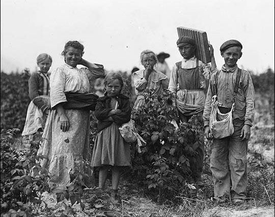 Historia emigracji polskiej USA Polonia Polacy