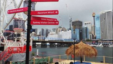 Humor Australia dowcipy żarty o Australii australijskie