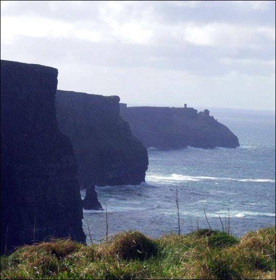 Polacy w Irlandii Polonia Irlandia