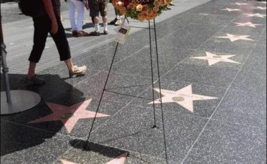 Wieniec na Hollywood Walk of Fame