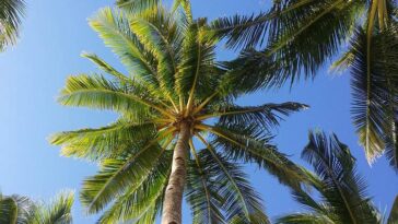 aquapark Suntago Wodny Świat Mszczonów