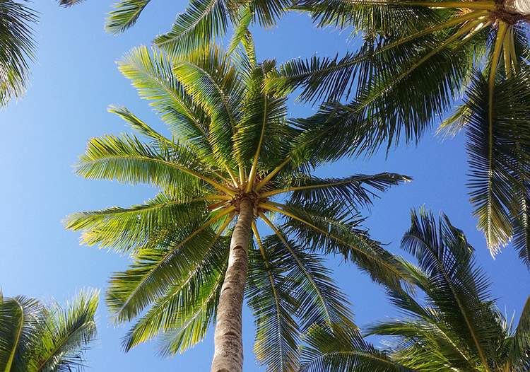 aquapark Suntago Wodny Świat Mszczonów
