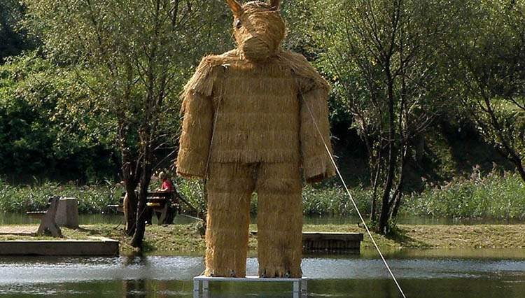 reżyser Stanisław Bareja Kutno Miś komedie