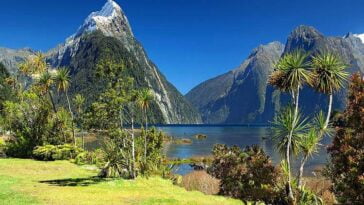 Nowa Zelandia ciekawostki