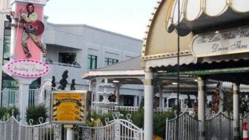 Wedding Chappel Las Vegas ślub Nevada ciekawostki