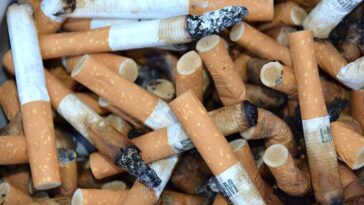 papierosy plaża Włochy palenie papierosów niedopałki pety