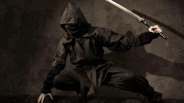 wojownicy ninja Japonia samuraj