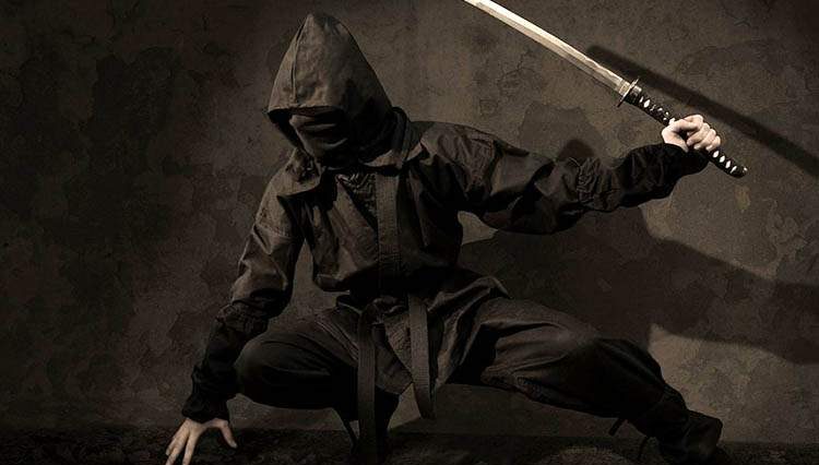 wojownicy ninja Japonia samuraj