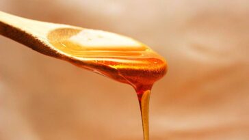 miód Manuka ciekawostki i miodzie Manuka