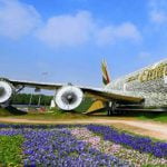 ogród Miracle Garden Dubaj kwiaty