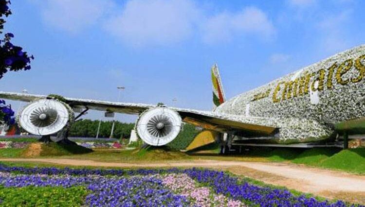 ogród Miracle Garden Dubaj kwiaty