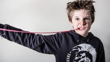 guma do żucia ciekawostki o gumie