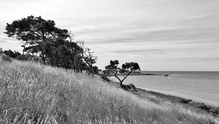 wyspa Gotlandia Szwecja ciekawostki Larbro