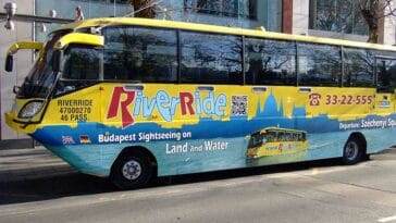 amfibia wycieczkowa ciekawostki o amfibiach amfibie