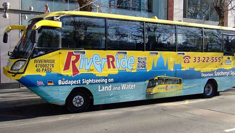 amfibia wycieczkowa ciekawostki o amfibiach amfibie