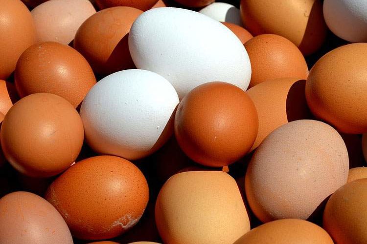 10 ciekawostek o jajkach