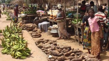 targ Wybrzeże Kości Słoniowej ciekawostki atrakcje