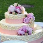 tort ciekawostki o tortach torty