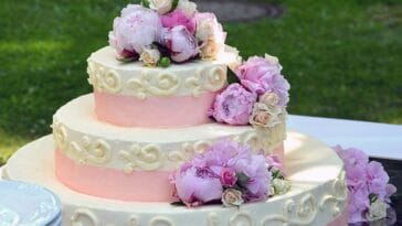 tort ciekawostki o tortach torty