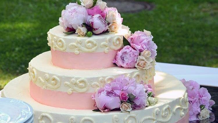 tort ciekawostki o tortach torty