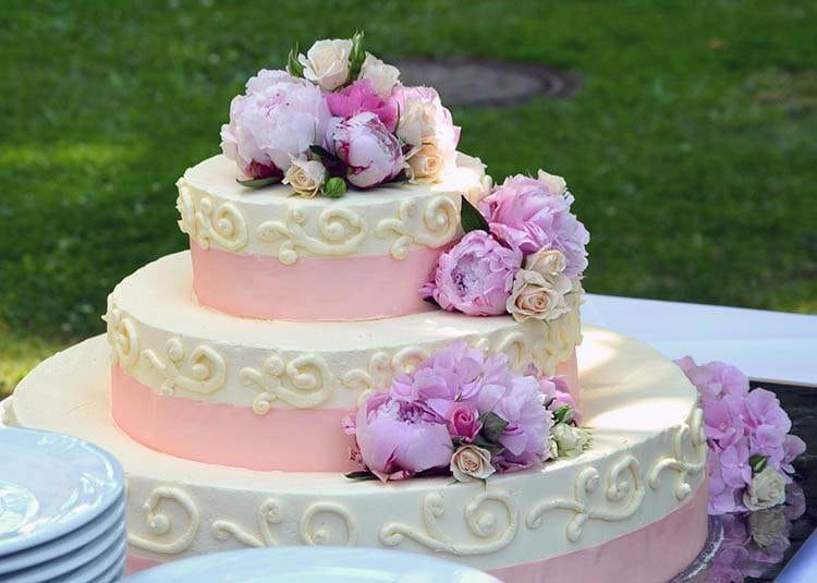 tort ciekawostki o tortach torty