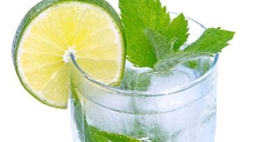 limonka ciekawostki limonki limetka limetki cytrusy