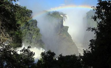 10 ciekawostek o Zimbabwe