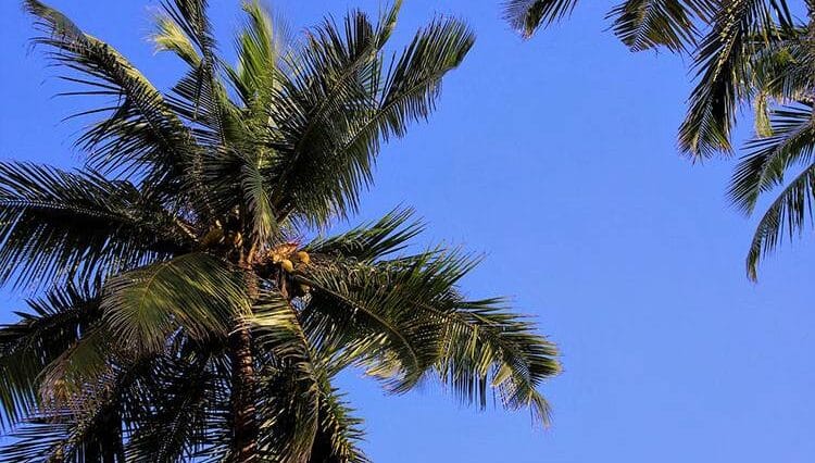 egzotyczne wyjazdy polisa ubezpieczenie wakacje